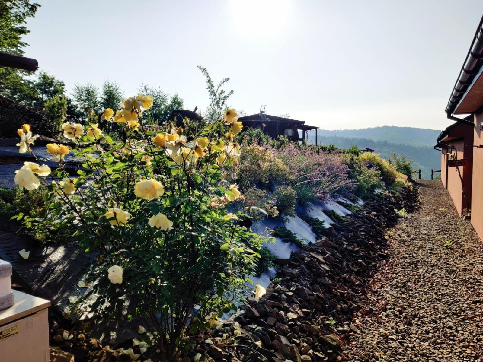 Agroturystyka Faron Rozdziele Exterior foto